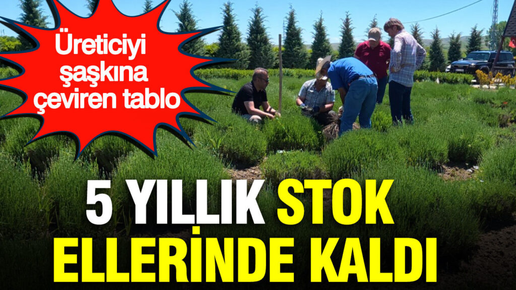 haber-gorseli-1787054667532